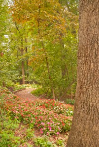 Walking Path